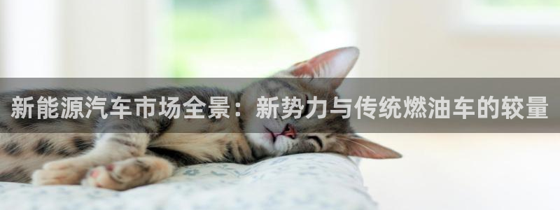 摩根娱乐开户总s管50015 15