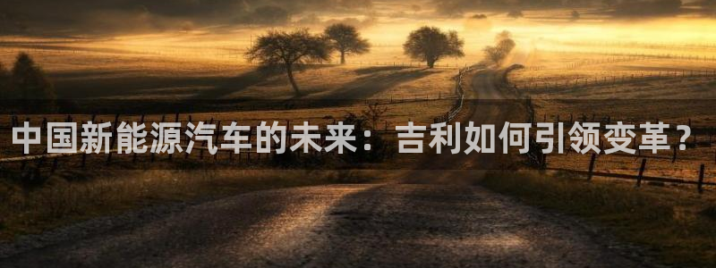 摩根娱乐部:中国新能源汽车的未来:吉利如何引领变革?