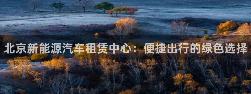 白宫摩根会娱乐会所:北京新能源汽车租赁中心:便捷出行的绿色选