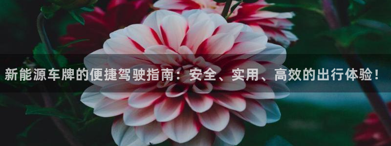 摩根娱乐黑台