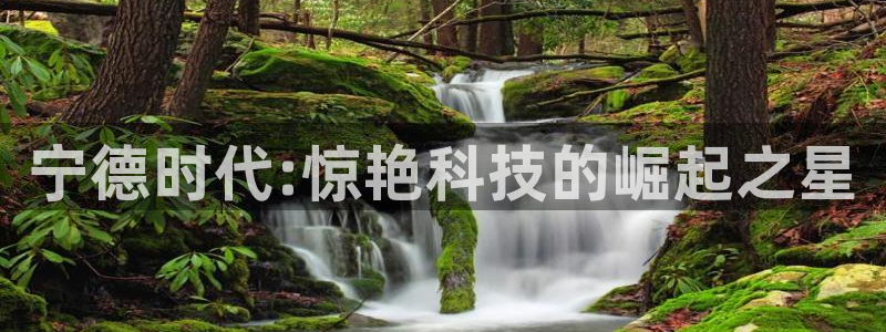 摩根娱乐首页
