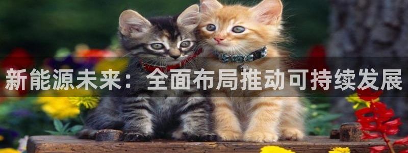 摩根士丹利娱乐:新能源未来:全面布局推动可持续发展