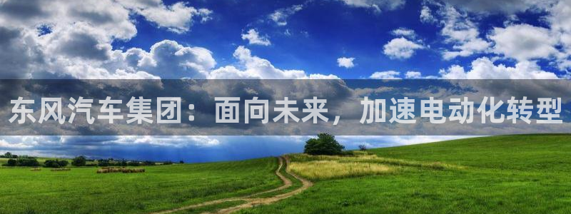 摩根娱乐 c招a商77130:东风汽车集团:面向未来,加速电