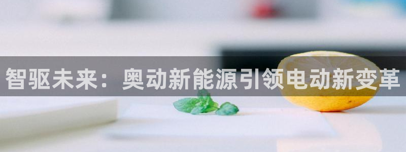 摩根餐饮娱乐:智驱未来:奥动新能源引领电动新变革