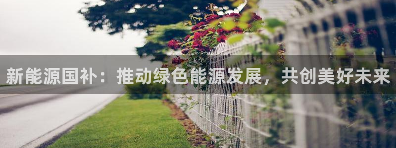 海贼王之娱乐摩根斯