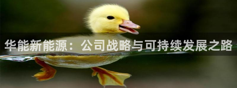 华视娱乐 摩根 王琛:华能新能源:公司战略与可持续发展之路