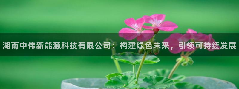义乌摩根娱乐会所收费:湖南中伟新能源科技有限公司:构建绿色未