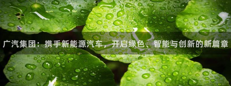 长春拉图摩根娱乐