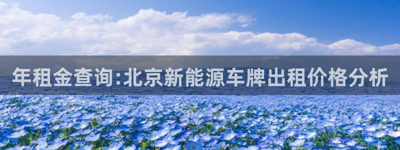 摩根娱乐 总s管50015:年租金查询:北京新能源车牌出租价