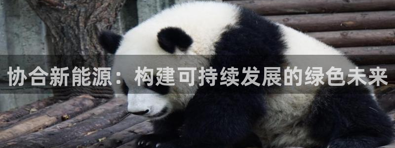 主角是摩根家族的娱乐文:协合新能源:构建可持续发展的绿色未来