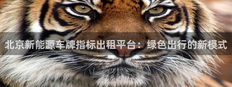 泉州摩根娱乐会所电话地址