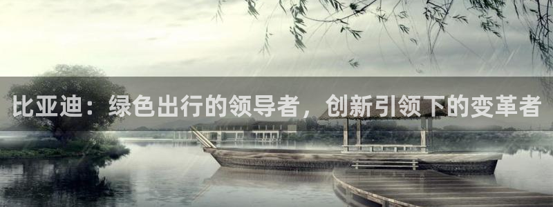 摩根娱乐宝代理:比亚迪:绿色出行的领导者,创新引领下的变革者