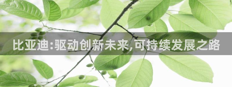 摩根娱乐宝是合法吗:比亚迪:驱动创新未来,可持续发展之路