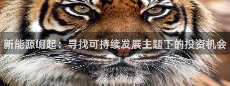 摩根娱乐宝怎么样