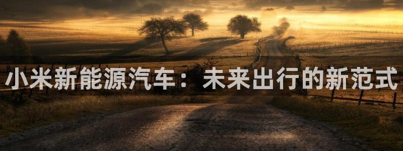 摩根娱乐 实c力77310:小米新能源汽车:未来出行的新范式