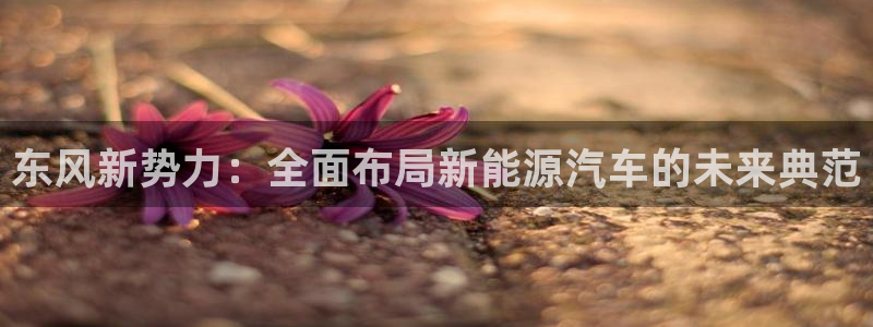 摩根娱乐宝可靠不