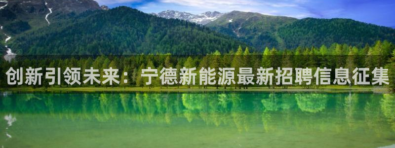 摩根娱乐宝app:创新引领未来:宁德新能源最新招聘信息征集