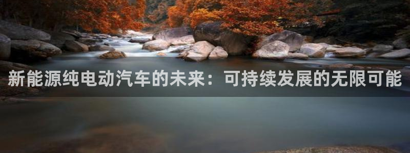 摩根娱乐 实c力77310:新能源纯电动汽车的未来:可持续发