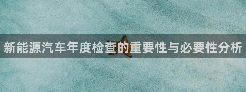 摩根娱乐宝官网下载：新能源汽车年度检查的