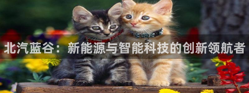 摩根娱乐宝怎么进入:北汽蓝谷:新能源与智能科技的创新领航者