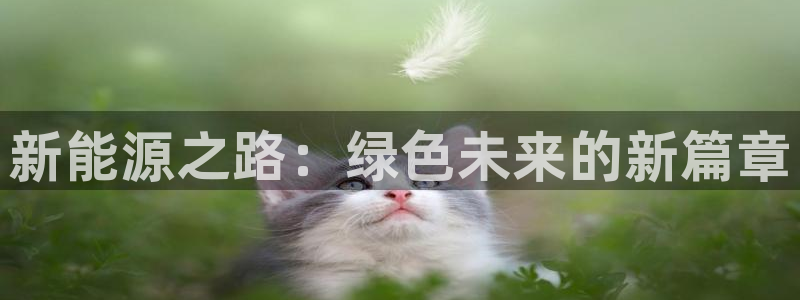 白宫摩根会娱乐会所:新能源之路:绿色未来的新篇章