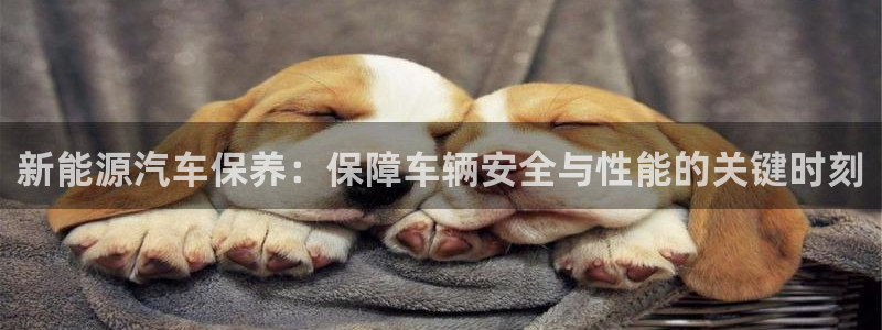 摩根室内娱乐