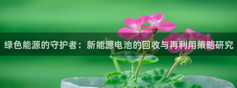 摩根娱乐公司:绿色能源的守护者:新能源电池的回收与再利用策略