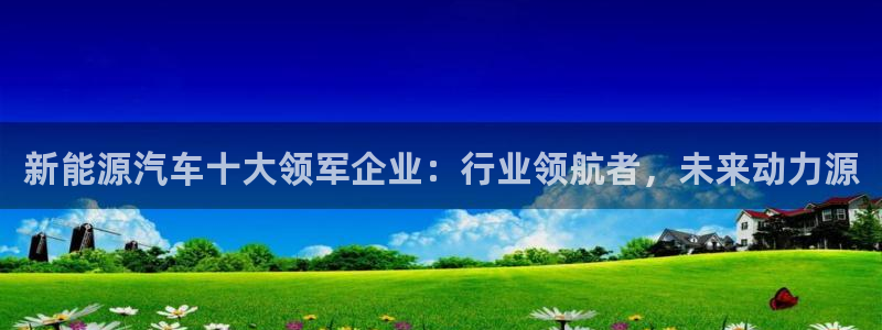 摩根国际亚太娱乐宝：新能源汽车十大领军企