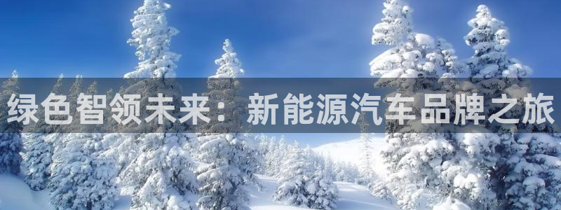 摩根2娱乐