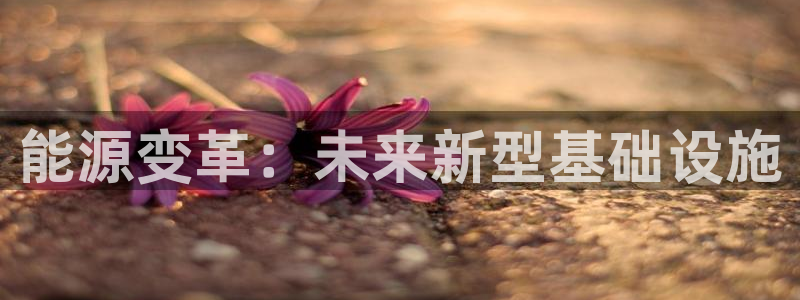 厦门摩根会娱乐:能源变革:未来新型基础设施