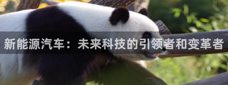 摩根娱乐宝可靠吗