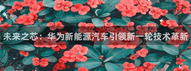 摩根兄弟进军娱乐圈