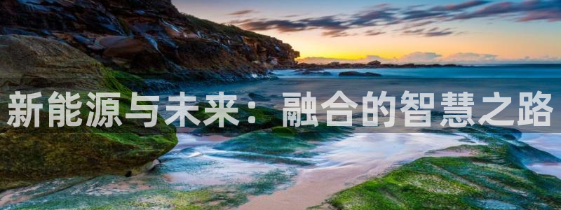 摩根娱乐50186选择：新能源与未来：融