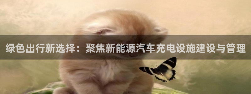 摩根国际娱乐宝官网下载：绿色出行新选择：