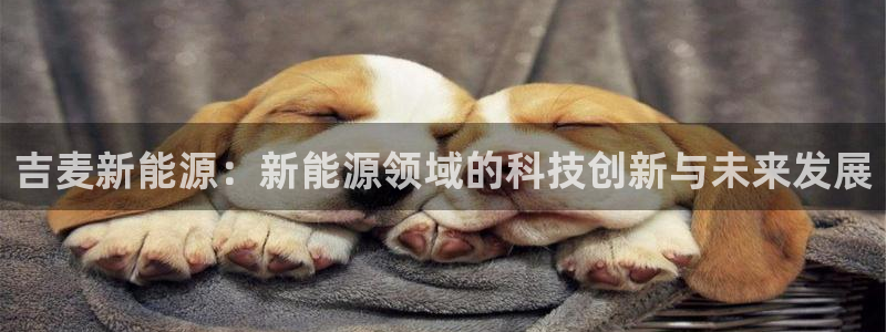 摩根说娱乐：吉麦新能源：新能源领域的科技
