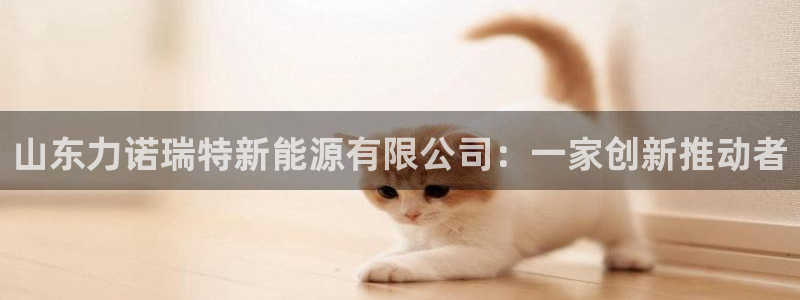 摩根娱乐宝合法吗：山东力诺瑞特新能源有限