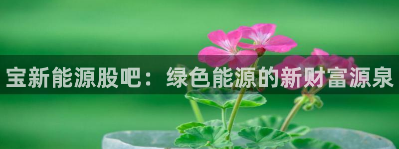 摩根娱乐官网下载:宝新能源股吧:绿色能源的新财富源泉