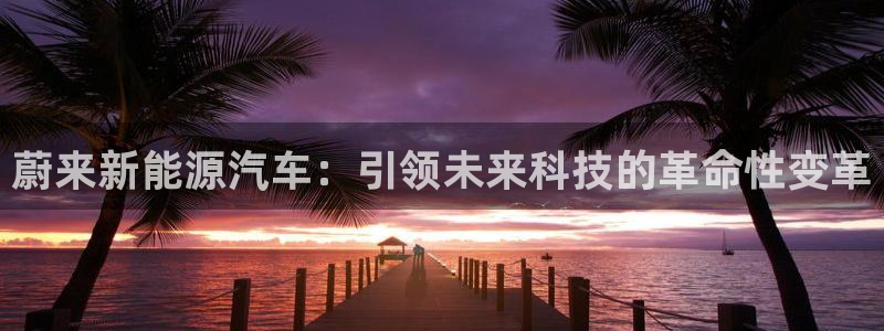 摩根娱乐宝怎样拉下线:蔚来新能源汽车:引领未来科技的革命性变