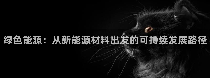 摩根娱乐二三事:绿色能源:从新能源材料出发的可持续发展路径