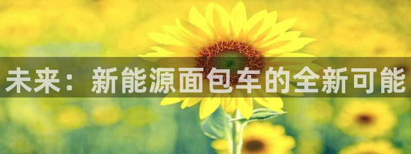 摩根娱乐挂机项目有哪些:未来:新能源面包车的全新可能