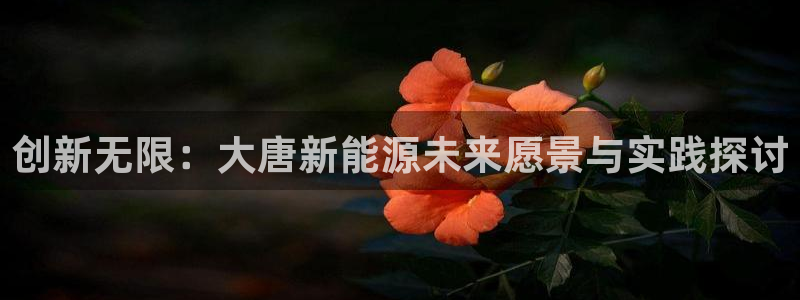 摩根在娱乐圈爆红:创新无限:大唐新能源未来愿景与实践探讨