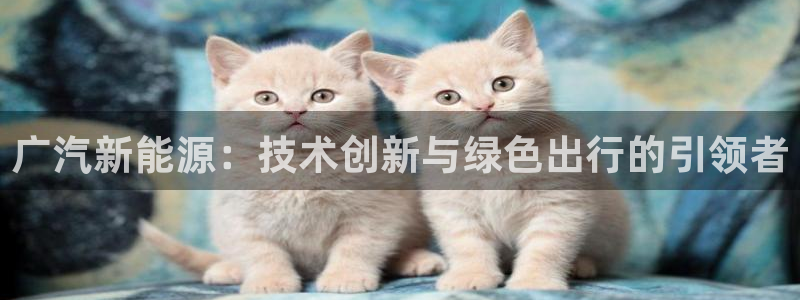 摩根时代资阳娱乐场所:广汽新能源:技术创新与绿色出行的引领者