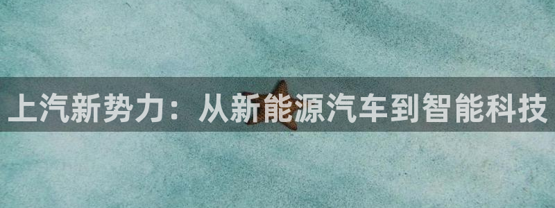 猫眼娱乐摩根士丹利:上汽新势力:从新能源汽车到智能科技
