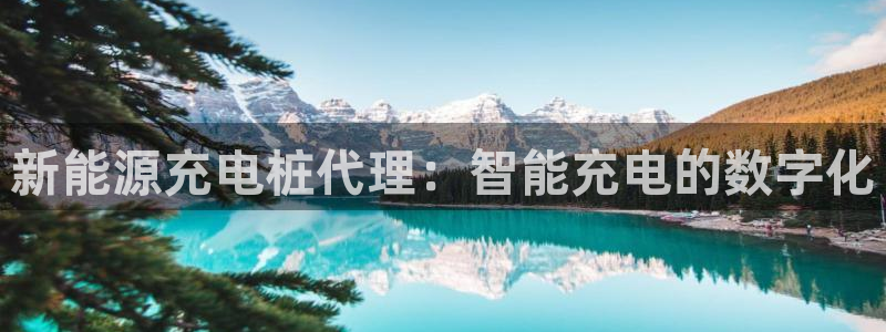 摩根士丹利凯撒娱乐:新能源充电桩代理:智能充电的数字化