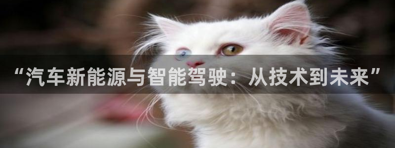 摩根娱乐宝k线图:“汽车新能源与智能驾驶:从技术到未来”