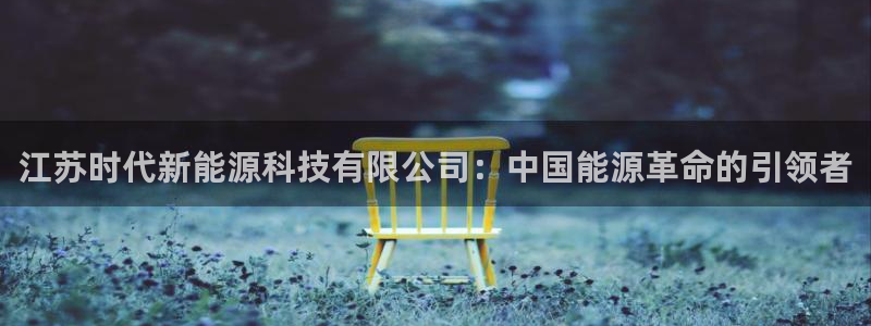 摩根娱乐宝真的假的:江苏时代新能源科技有限公司:中国能源革命