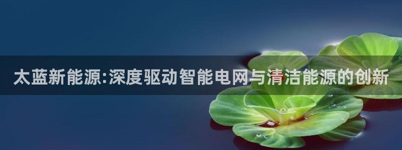 摩根娱乐宝诈骗:太蓝新能源:深度驱动智能电网与清洁能源的创新