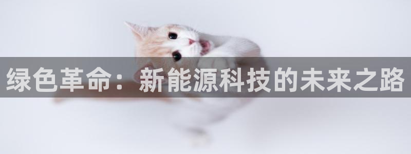 摩根娱乐平台黑:绿色革命:新能源科技的未来之路