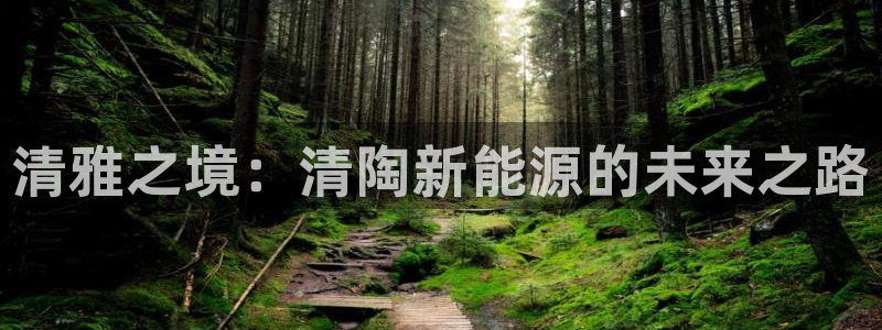 摩根娱乐宝是什么游戏:清雅之境:清陶新能源的未来之路