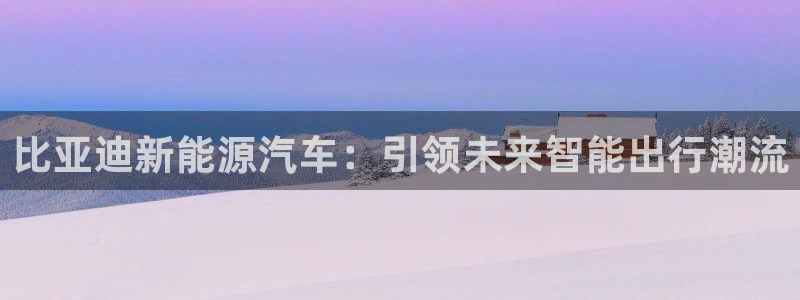 泉州摩根娱乐会所招聘:比亚迪新能源汽车:引领未来智能出行潮流